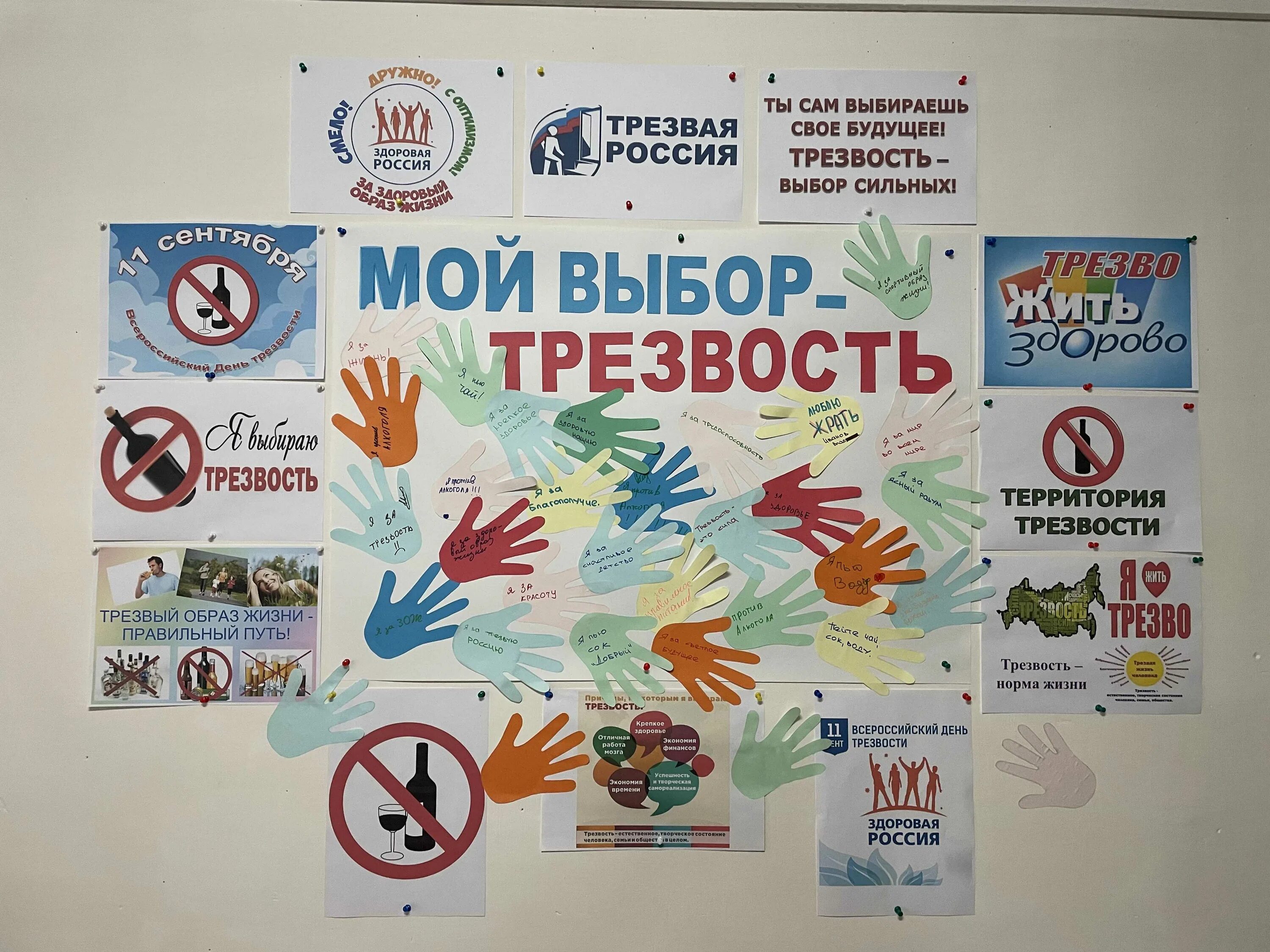 Трезвость и здоровье. Трезвость образ жизни. Трезвый образ жизни плакат. День трезвости. Мой выбор трезвость.