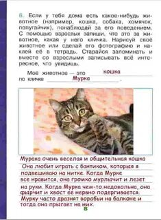 Рассказ о кошке 1 класс
