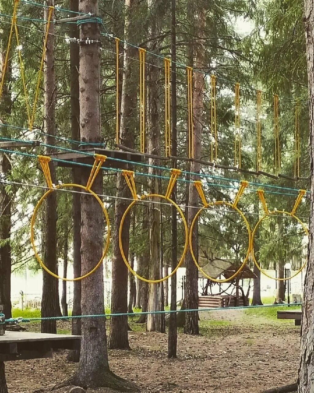 Порошино канатная дорога киров. Веревочный парк порошино. Тайпарк порошино киров. Веревочный парк порошино киров. Гамми парк экстрим.