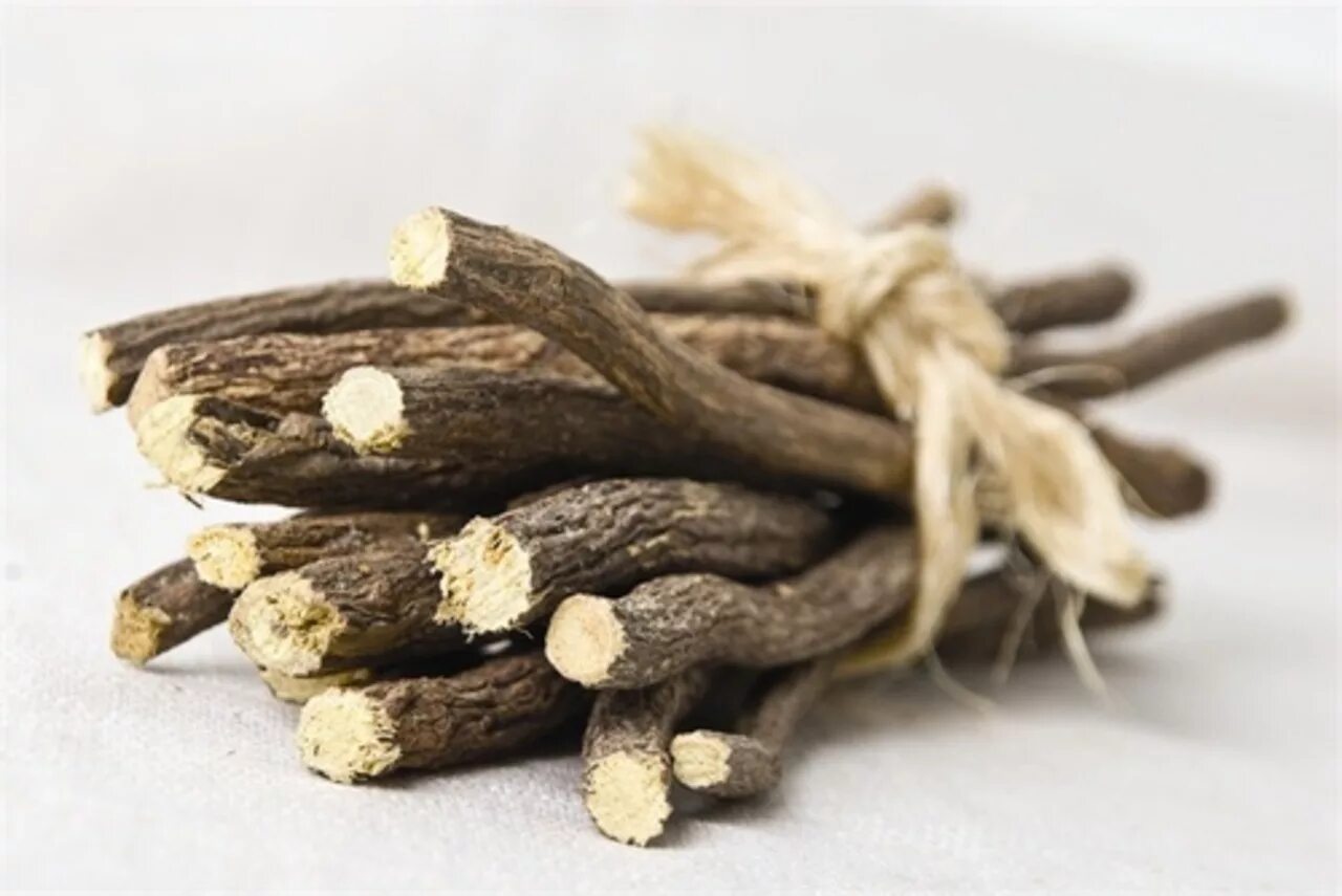 Сбор солодки. Лакрица корень солодки. Корень солодки (Licorice roots). Корень солодки, Солодка Уральская, лакричник. Солодка Уральская корень.