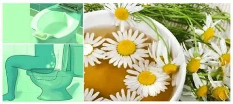 Ромашка при молочнице