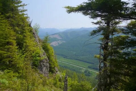Форкс