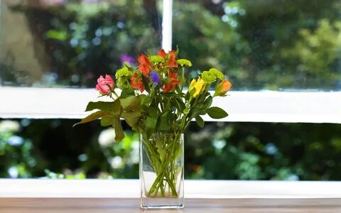 Windows flowers