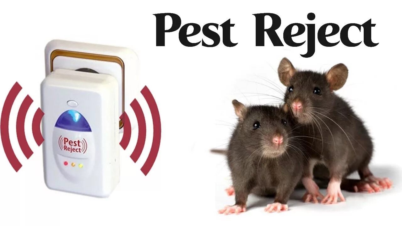 Пест реджект ультразвуковой отпугиватель тараканов. Отпугивать от тараканов крыс комаров. Pest reject - отпугиватель тараканов, грызунов и насекомых видео. Pest reject отзывы. Отпугиватель тараканов pest reject отзывы.