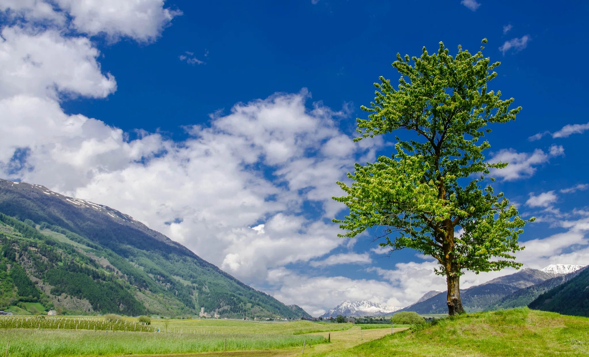 Горы словении фото. Горы без деревьев. Пейзаж. Заставка на рабочий стол горы. Горы карвендель.