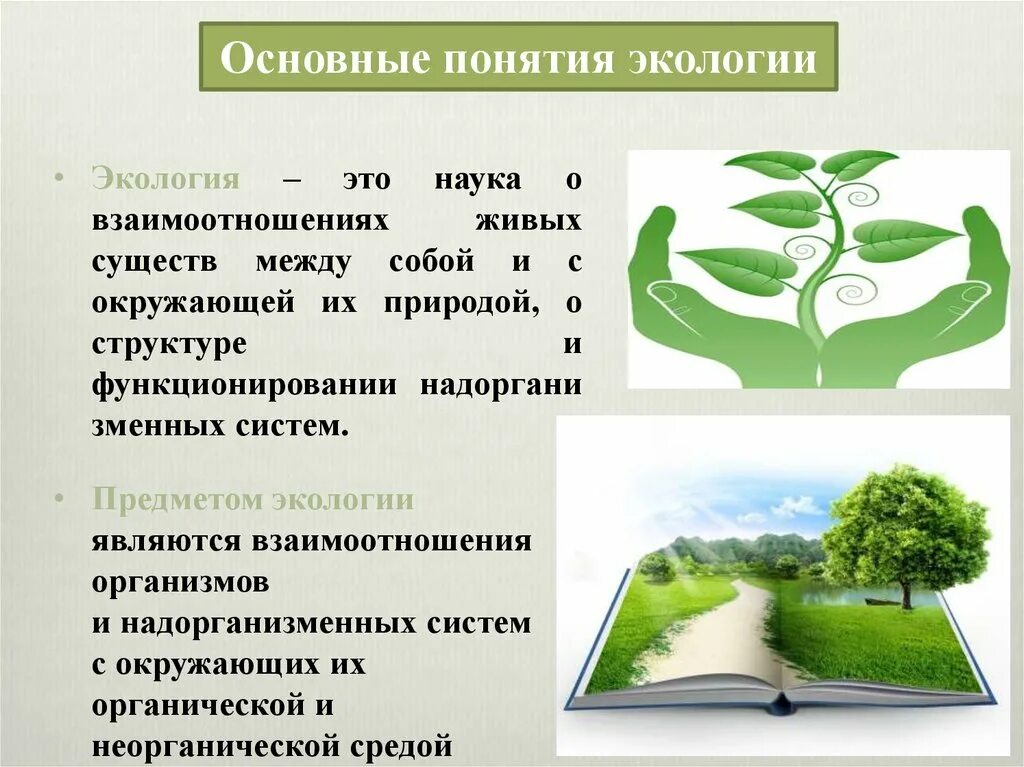 Природоохранным принципом является. Основные понятия экологии. Понятие экология. Экологическая концепция. +Понятие об окружающей среде в экологии.