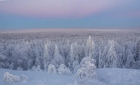 Край зимы