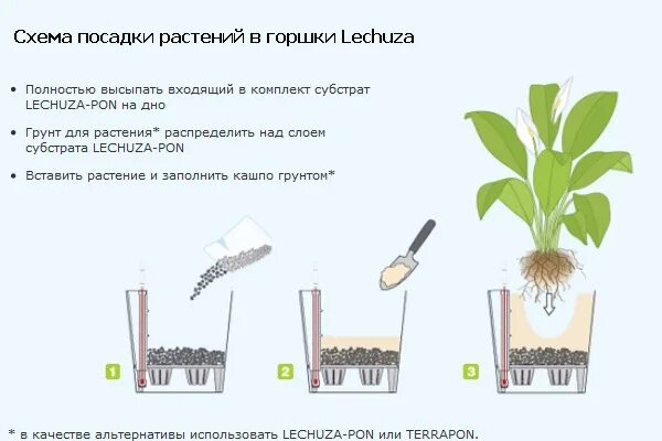 Как посадить голос. Пересадка комнатных растений схема. Горшок Лечуза с автополивом инструкция. Схема посадки растения в горшок. Схема посадки растений в кашпо.