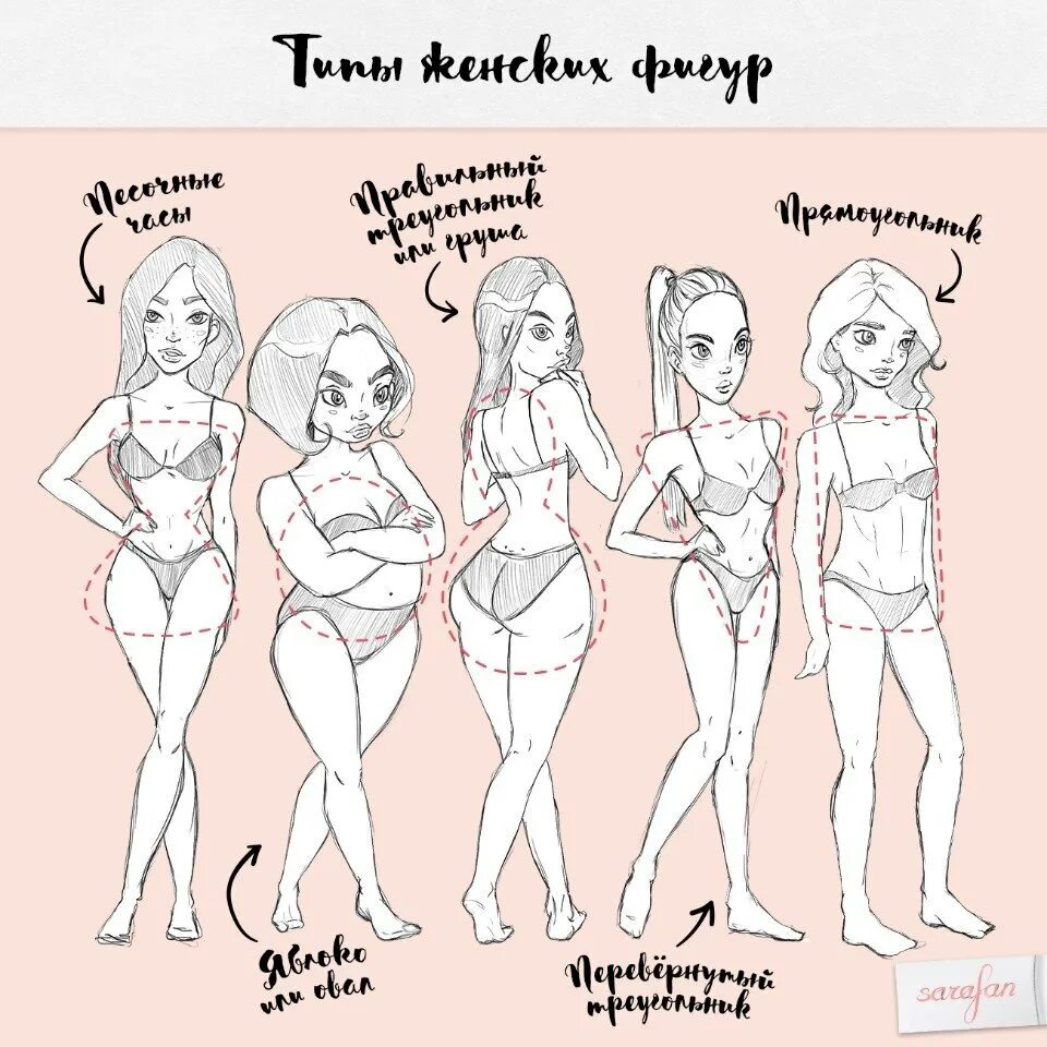Референсы разных типов фигур. Типы женских фигур. Мужские тела разной комплекции. Формы женской фигуры. Мужская фигура рефренс.