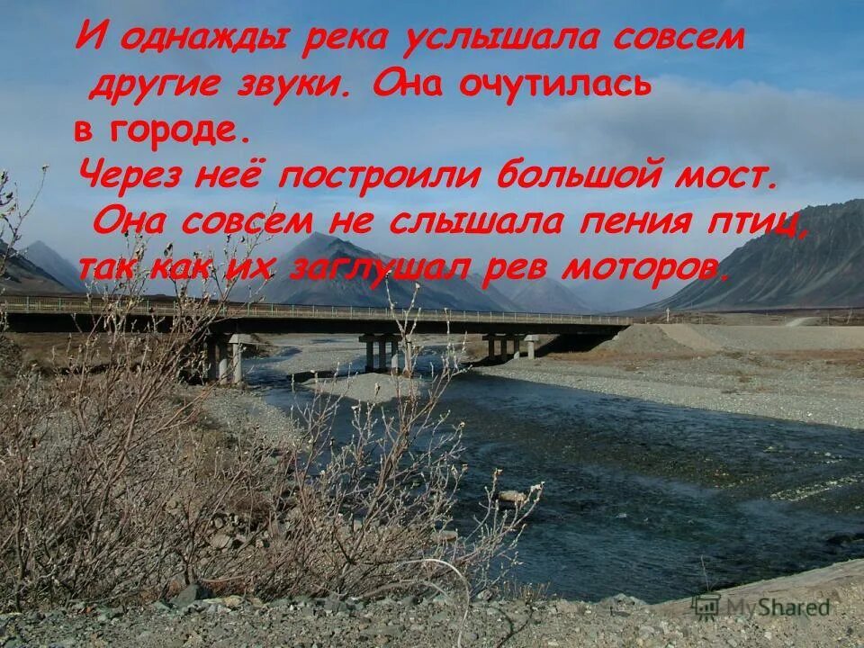 чем может покрыться река. туманное утро на реке. утро на речке. пейзаж с рыбаком. однажды мальчик спросил.