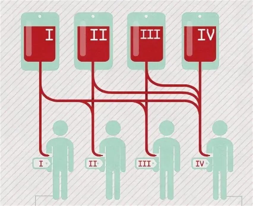 Донор и реципиент. Какая кровь самая востребованная для донорства. Какая группа крови самая востребованная в донорстве. Универсальными донорами являются люди