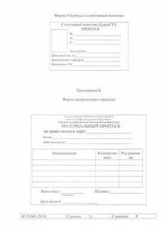 Виды материальных пропусков