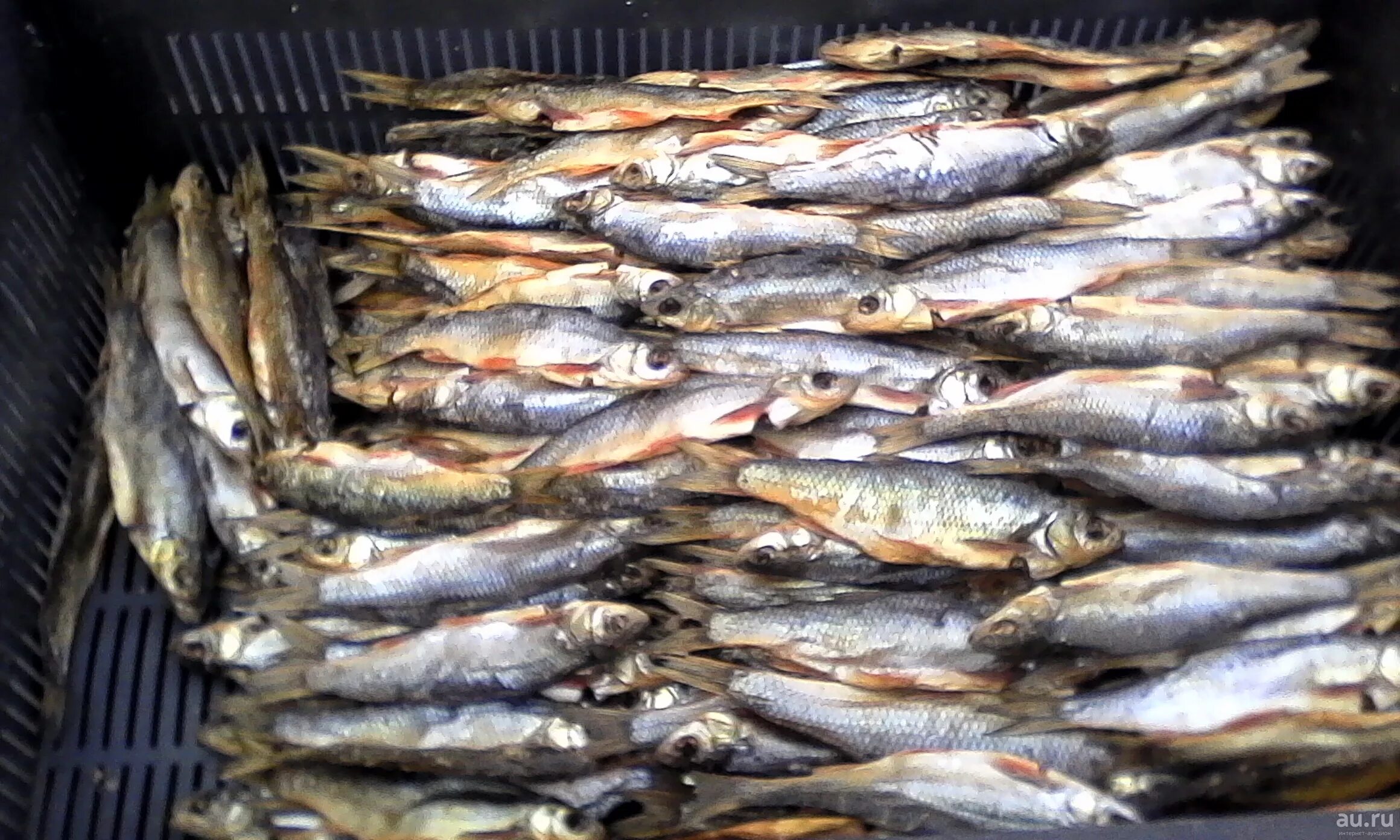 Рыбное купить рыбу. Копченая рыба чебак. Рыба в Красноярске. Елец копченый. Северный Елец рыба.
