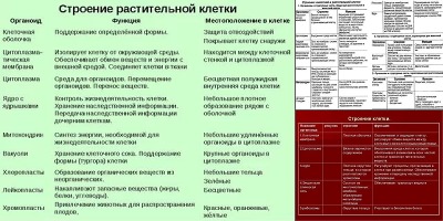 строение клетки таблица