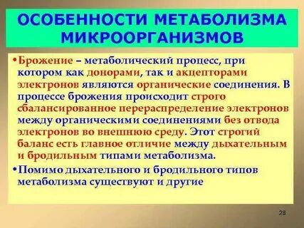 Энергетический метаболизм