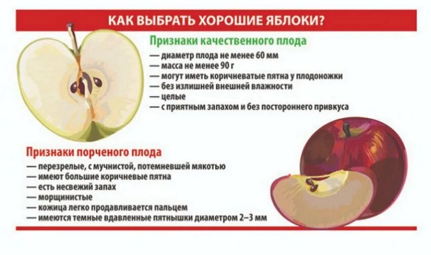 Яблоки проверить о. Полезные вещества в яблоке. полезные свойства яблок. как выбрать яблоки. полезные витамины в яблоках.