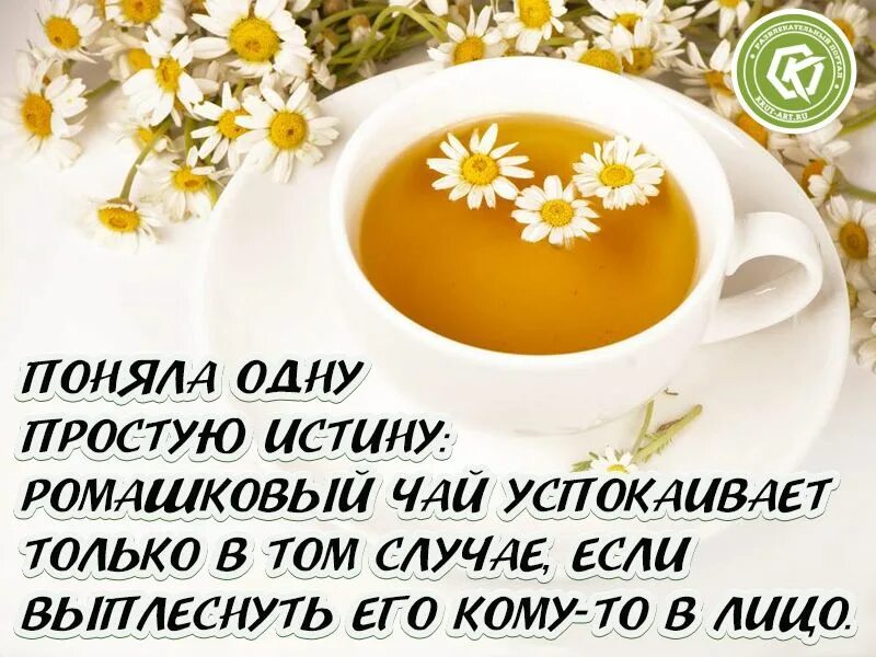 Чай белый ромашка. Ромашковый чай. Чай с ромашкой картинки. Прикол про ромашковый чай картинки. Ты четверг ты ромашковый чай.