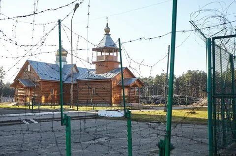 Сосновый бор псковская