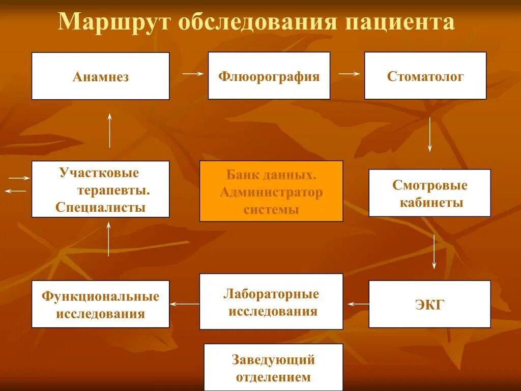 Обследование маршрутов. Функциональное обследование пациента. Методика обследования в смотровом кабинете. Кабинет обследования больного. Методы обследования в смотровом кабинете таблица.