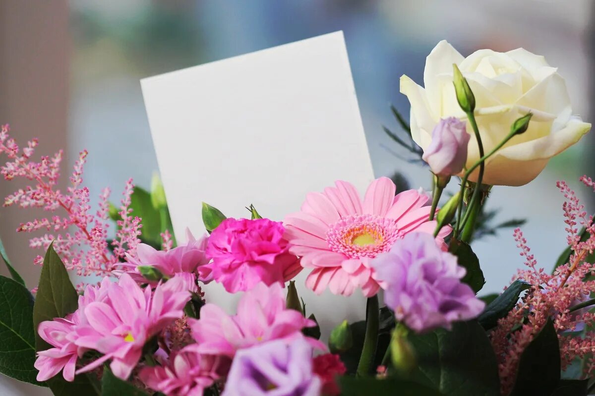 Картинка с днем рождения женщине в марте. Открытка "букет". Поздравляю! (Цветок). Открытка цветы. Красивые цветы для поздравления.