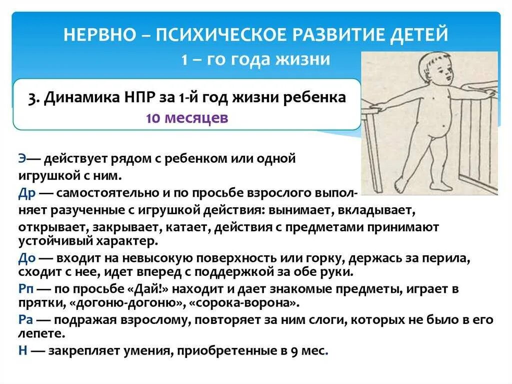 Нервно-психическое развитие ребенка 10 месяцев. Нервнопсихиснскле развитие ребенка. Нервно-психическое развитие детей до 1 года. Нервно психическое развитие ребенка по месяцам