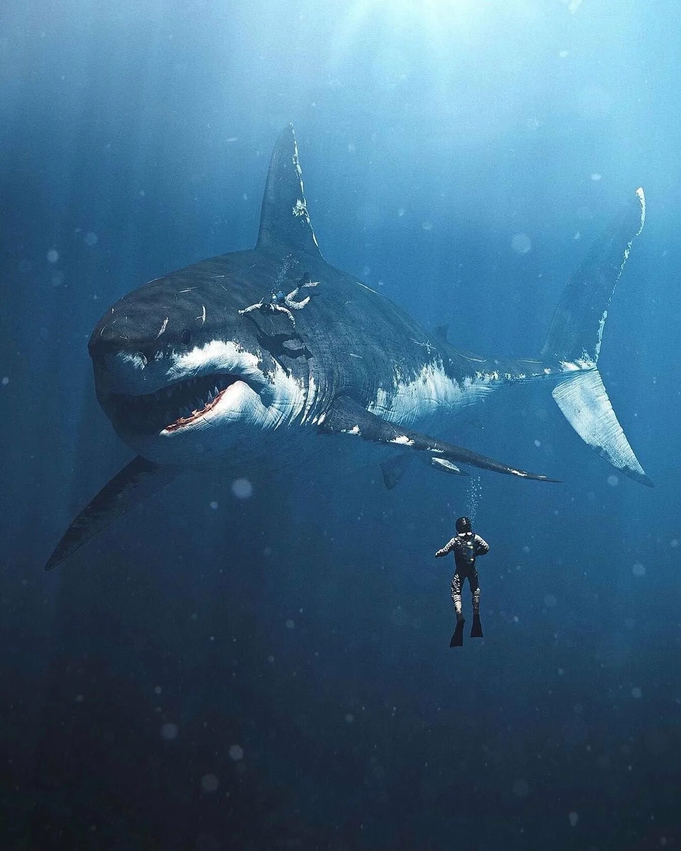 Кархарадон. Акула МЕГАЛОДОН. Гигантская акула МЕГАЛОДОН. Самая большая акула МЕГАЛОДОН. МЕГАЛОДОН И большая белая акула.