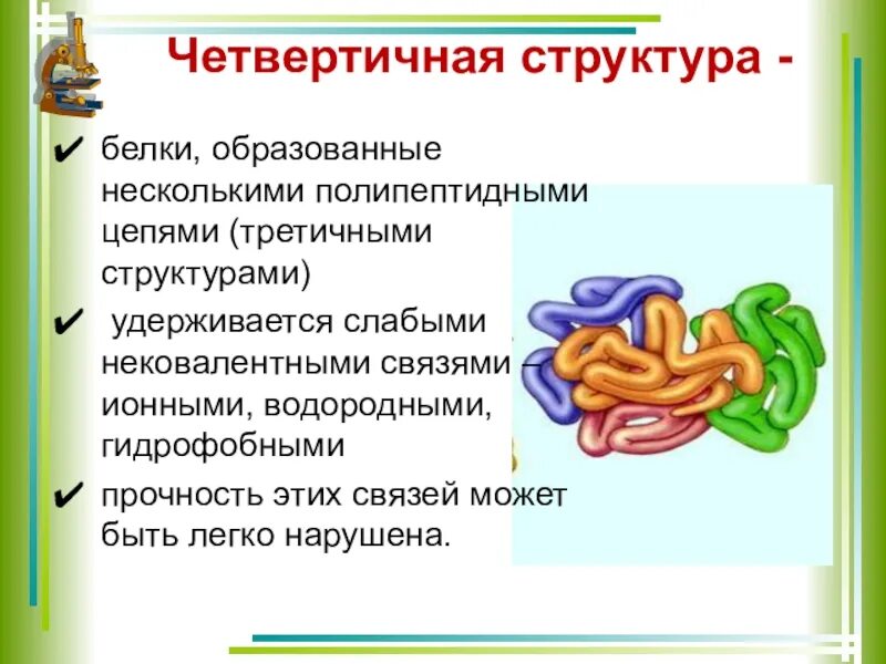 Четвертичная структура белка это структура. Четвертичная структура белка строение. Белки химия четвертичная структура. Четвертичная структура молекулы белка.