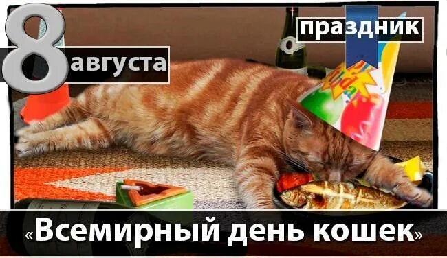 День кошек в россии 2024 год. Всемирный день кошек. 8 Августа Всемирный день кошек 8 августа. День кота 8 августа. Всемирный день кошек 8 августа открытки.