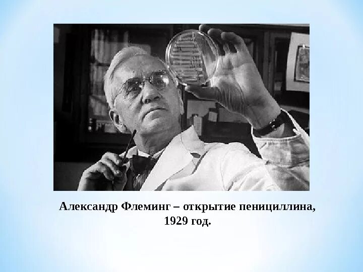 Флеминг открыл пенициллин. Открытие антибиотиков Александром Флемингом. Кто первый открыл пенициллин