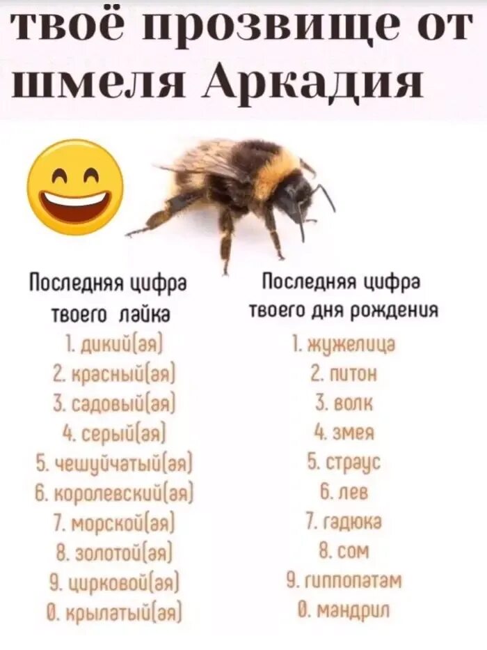 Твоя кличка