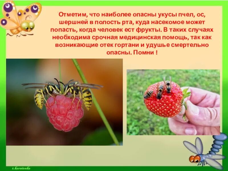 Опасность насекомых