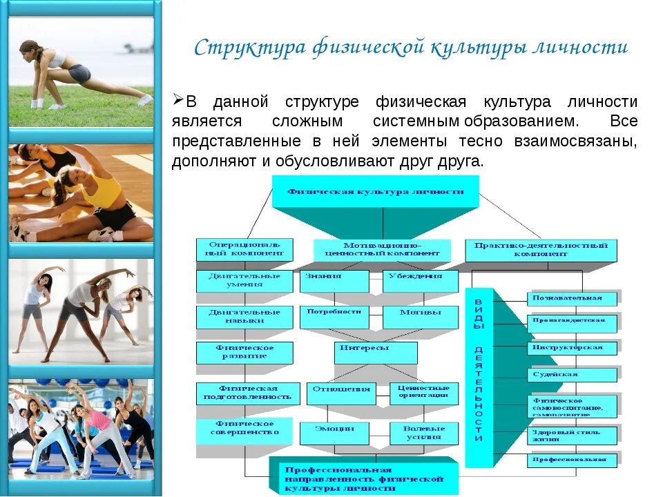 Структура физической культуры личности. Физическая культура схема. Формирование физической культуры. Спорт и физическая культура схема.