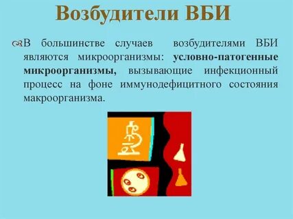 Основной возбудитель внутрибольничной инфекции