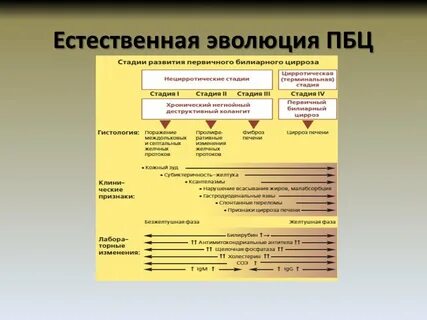 Цирроз клинические рекомендации