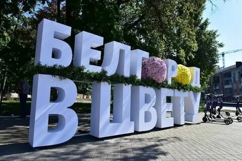 Объявление г белгород