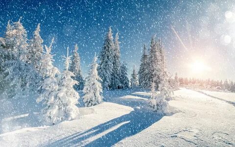 ТОП-300+ потрясающих фотографий зимней природы.