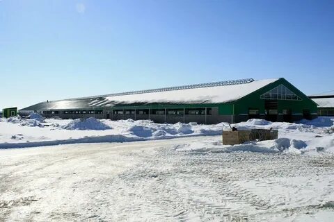 Богдановка оренбургская область