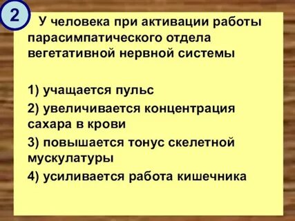 Нервная активация