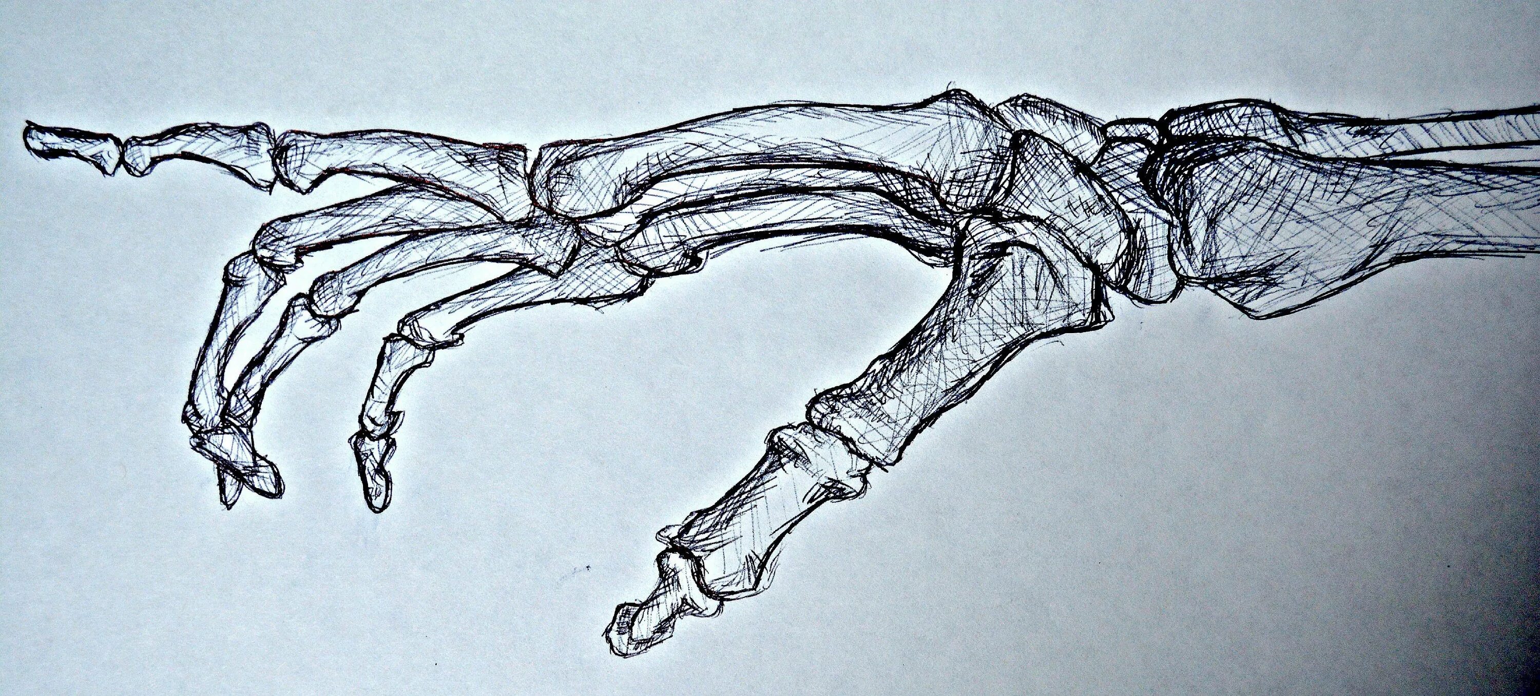 Skeleton hands
