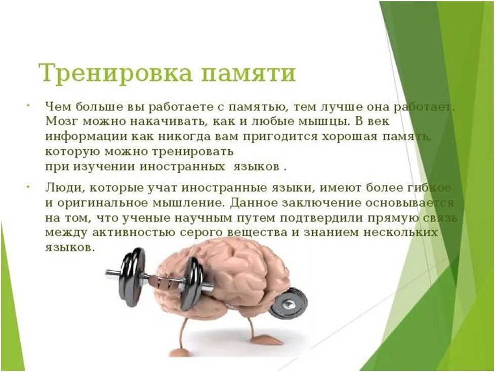 Лучшее развитие мозга. Упражнения для мозга. упражнения для мозга и памяти. гимнастика мозга. упражнения для тренировки мозга.