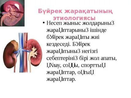 Семіз, сасық әйелдің мысығын ер адам жалайды