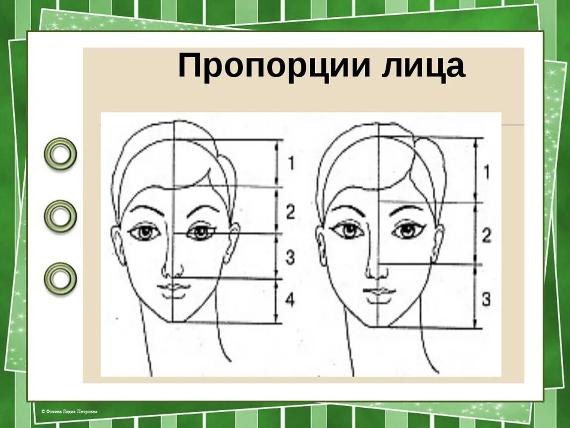 Пропорции лица. Пропорции лица для рисования. Пропорции лица схема. Изо пропорции лица человека.