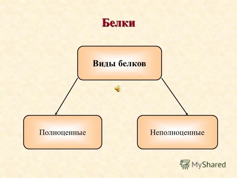 Тип белки. Тип белки