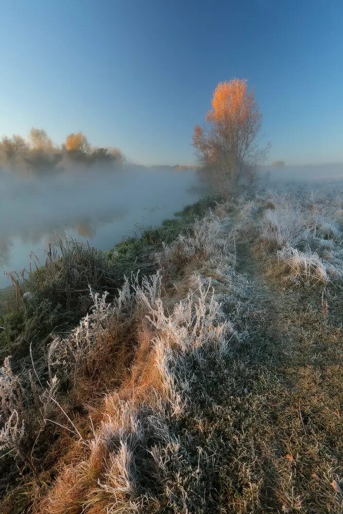 Осенние заморозки. Морозное осеннее утро. Поздняя осень. Морозная осень.