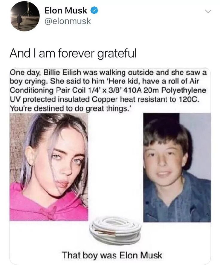 Why she crying. Elon Musk memes. This is Elon Musk meme. This is Elon Musk текст. Elon Musk twitter meme.