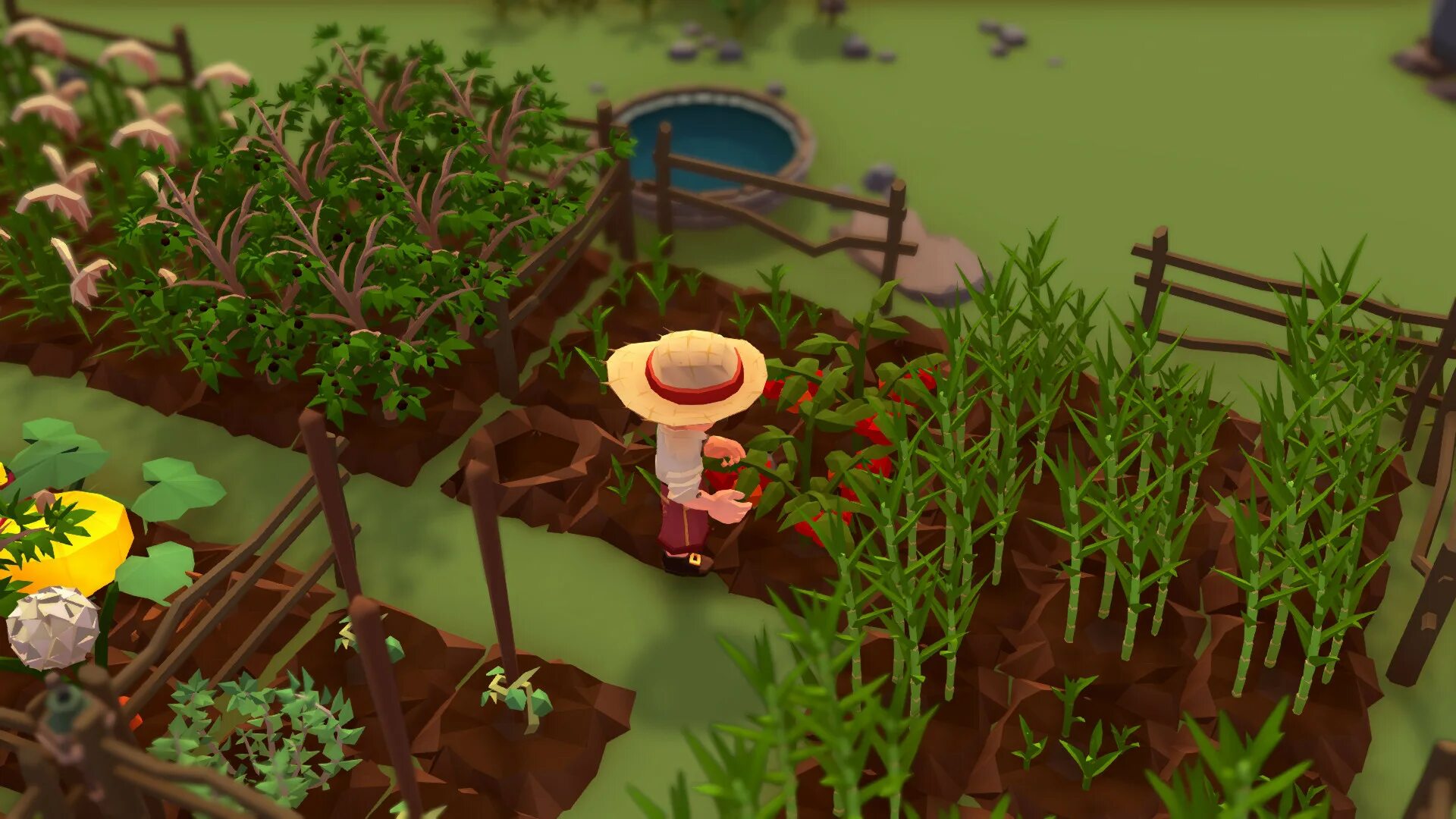 Stranded sails - explorers of the cursed islands (2019). Stranded sails explorers. Stranded sails - explorers of the cursed islands игра. Stranded sails: explorers of the cursed islands [ps4. Stranded sails - explorers of the cursed islands игра.