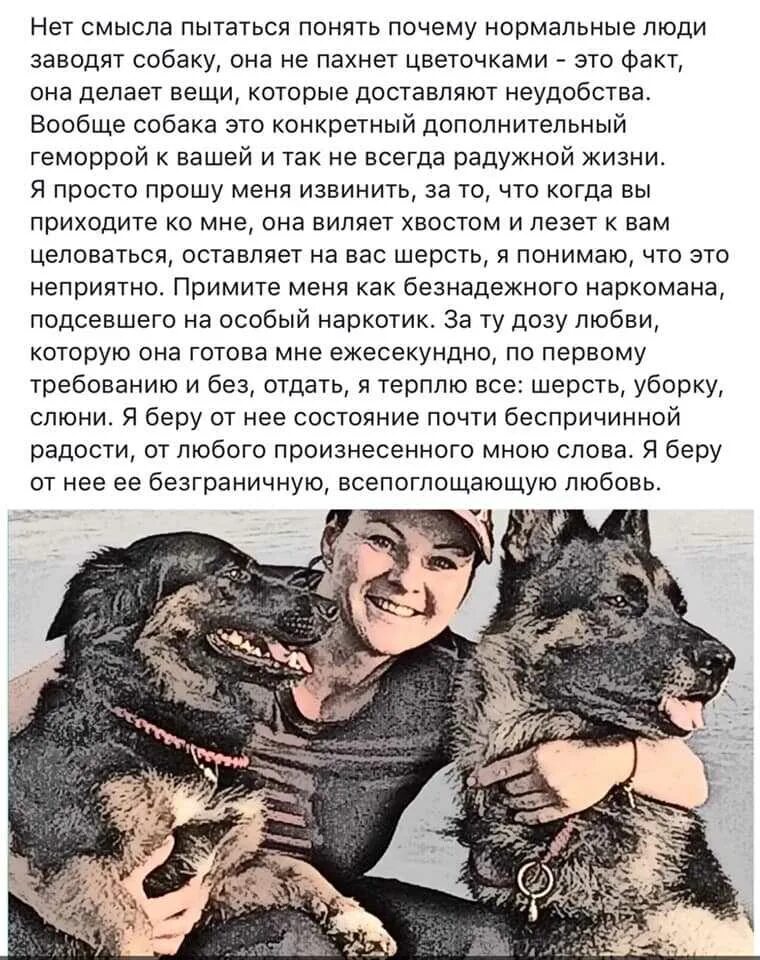 Когда человек заводит собаку вместе с собакой. Подходящая собака для начинающих собачников. Памятка для владельцев собак. Зачем люди заводят домашних питомцев. Для чего люди заводят собак.