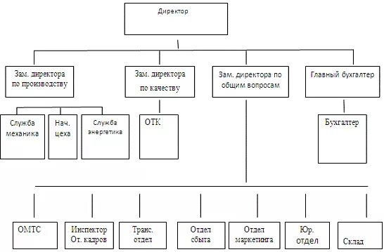 Виды заместителя директора. Структура заместителя директора по общим вопросам. Заместитель директора в структуре организации. Зам ген директора по общим вопросам. Структура заместителя коммерческого директора.
