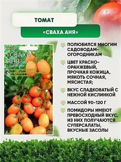 Томат семена мязиной сваха аня. Томат гладиатор f1. Томат сваха аня характеристика и описание сорта фото отзывы. Томат черныш мязиной. Томат мязина.