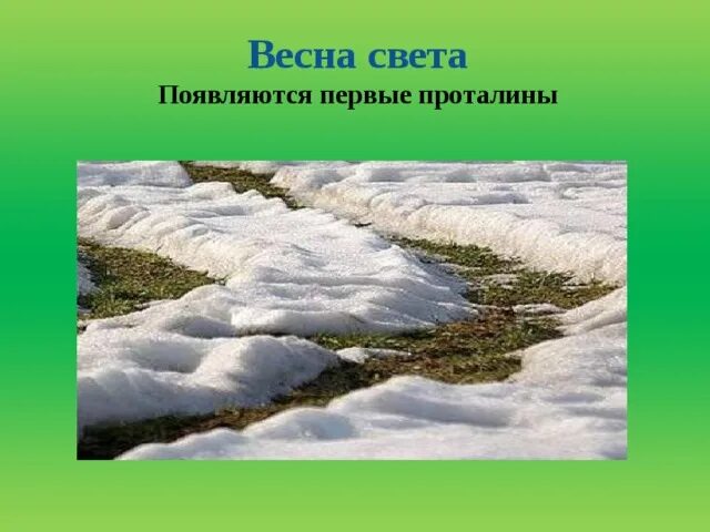 Весенние явления природы 2 класс окружающий мир. Появляются проталины. Природные явления весны. Первые проталины. Проталина это для детей.